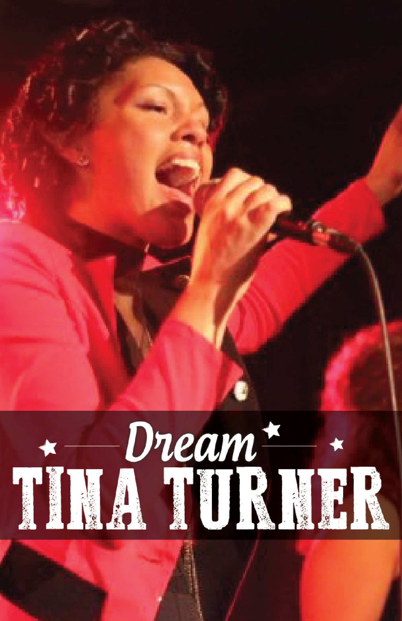 Dream Tina Turner